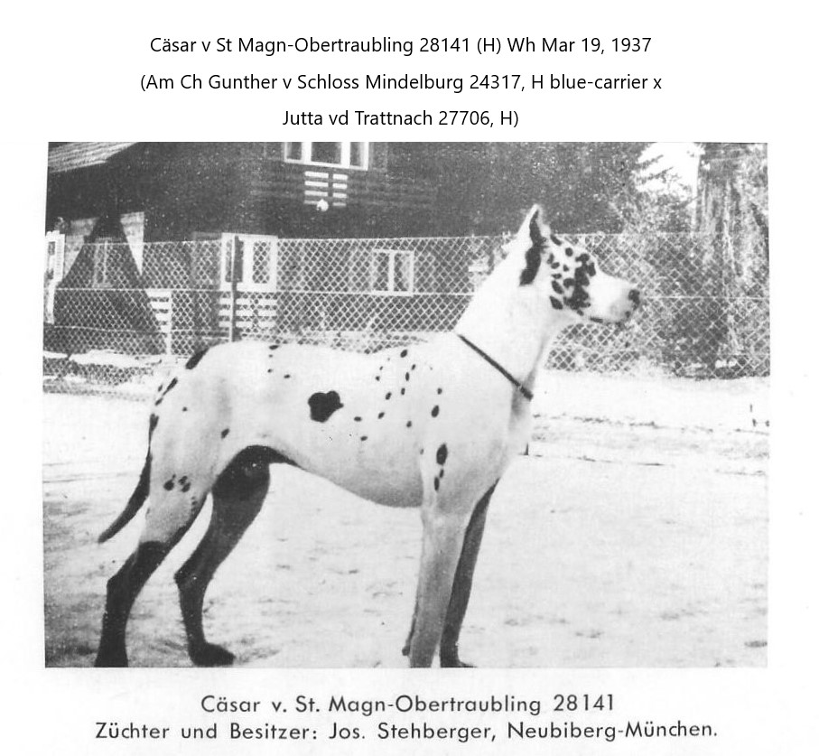 Casar v St Magn-Obertraubling